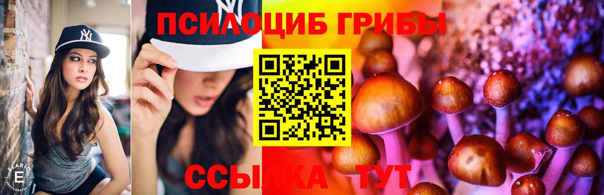 Южно-Сахалинск  Псилоцибиновые грибы Psilocybe  Вход с VPN 